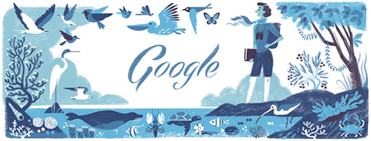 Imagen del mes: Rachel Carson, el nuevo doodle de Google