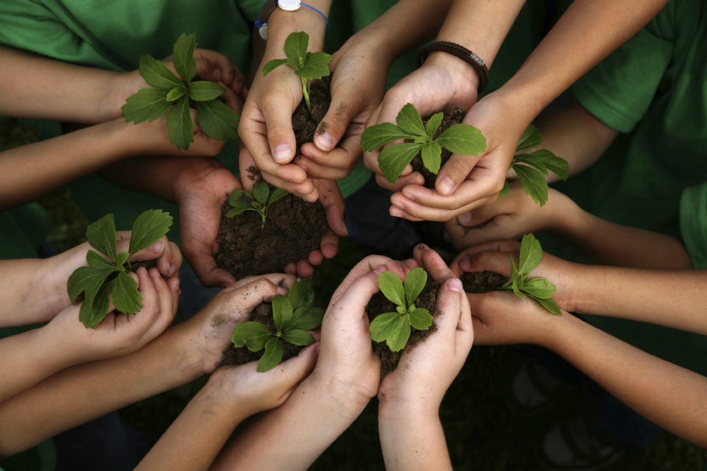 educacionambiental